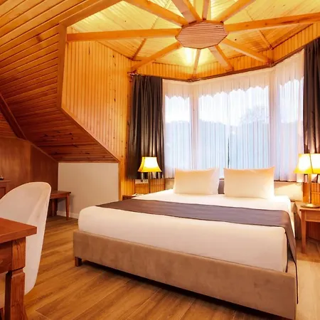 Zanike * 特拉布宗